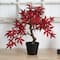 20&#x22; Autumn Maple Bonsai Artificial Tree